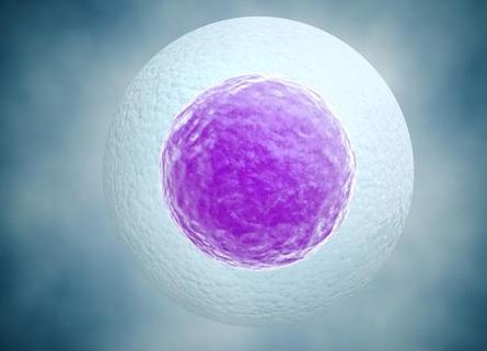 三代西安试管婴儿费用明细解析：让你了解每一步的成本