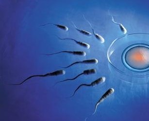 福建无需结婚证做试管的正规机构有哪些？