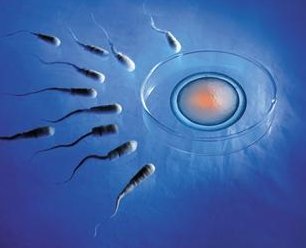 无精症影响生育能力怎么办？杭州地区有哪些私立的机构可以做试管技术？