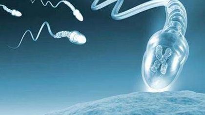 一文了解新生婴儿免受炎热天气侵害的举措