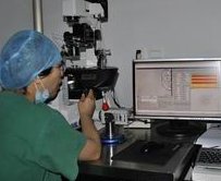 赴美移植4aa和5aa的着床率高不高？