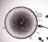 要想婚姻更加美满，结婚前需要慎重考虑这4大因素