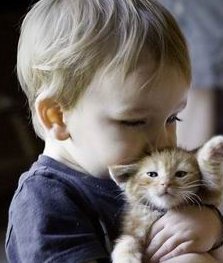 医院深圳试管多少钱？试管婴儿具体流程有哪些