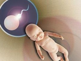 不孕不育在满洲里市做试管的费用有多少？一文告诉你做三代试管建档的流程有哪些